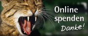 Direkt zur Online-Spende, Foto: eyewire / fotolia.com